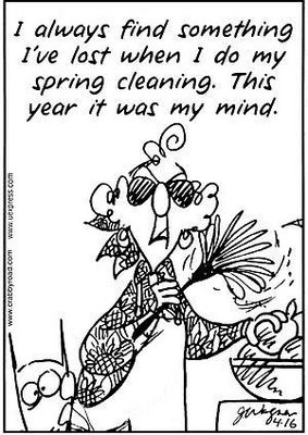 Cartoon of Spring Cleaning