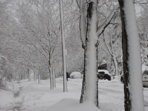 img src="https://www.liftyourconcrete.com/images/Snow-Storm-Kansas-City-MO.jpg" alt=" Snow storm in Kansas City,MO, Concrete Raising Systems, Kansas City, MO"