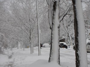 img src="https://www.liftyourconcrete.com/images/Snow-Storm-Kansas-City-MO.jpg" alt=" Snow storm in Kansas City,MO, Concrete Raising Systems, Kansas City, MO"